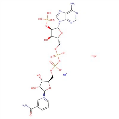 CAS:1184-16-3|B-Nicotinamide Adenine Dinucleotide Phosphate Sodium Salt