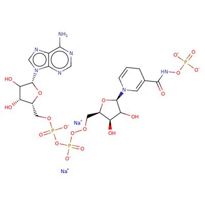 CAS:606-68-8|Beta-Nicotinamide Adenine Dinucleotide, Garam Dinatrium